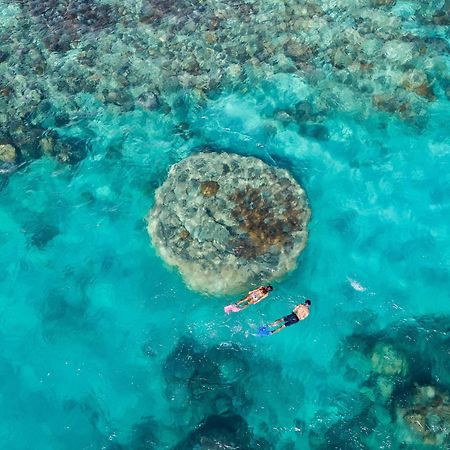Shingley Beach Resort - Whitsundays Airlie Beach Buitenkant foto